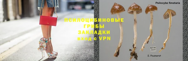 СК Усолье-Сибирское