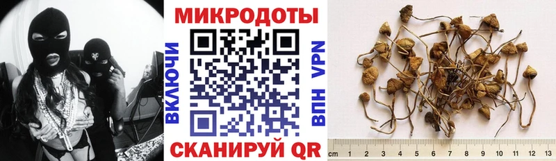 Галлюциногенные грибы Cubensis  купить наркотики цена  Болохово 